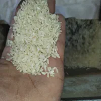 فروش عمده برنج لنجان جوزون تجاری|خوردنی و آشامیدنی|فولادشهر, مسکن مهر فولادشهر|دیوار