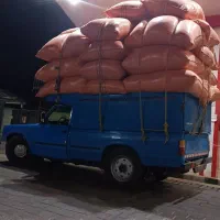کاه درجه یک گندم گوسفندی