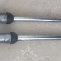 فنچ مرغ عشق عروس هلندی|پرنده|میناب, |دیوار
