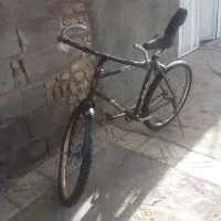 دوچرخه دماوند|دوچرخه، اسکیت، اسکوتر|تربت جام, باغ سنگان سفلی|دیوار