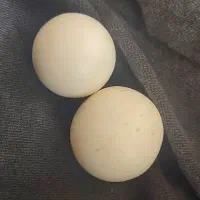 سنگ الماس اسیاب