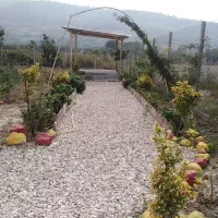 باغ-اماده