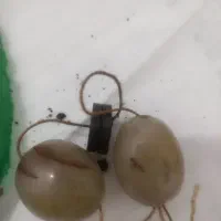 سنگ شانس سنگ انرژی مثبت