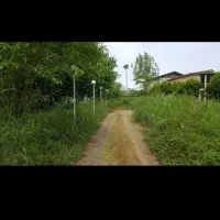 243/33متر زمین داخل بافت هادی کاربری مسکونی شهرکی|فروش زمین و ملک کلنگی|عباسآباد, |دیوار