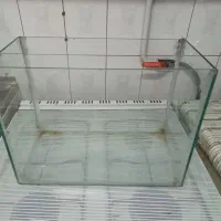 تنگ نگهداری همستر و ماهی آکواریوم