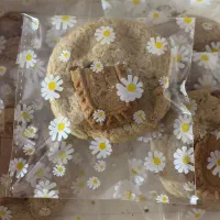 سفارش انواع چیز کیک کوکی بروانی