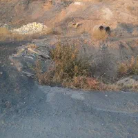 معاوضه-زمین-با-ماشین-مدل-بالا-وآپارتمان