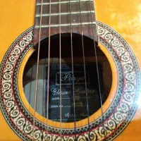 گیتار پویا سفارشی ساخت|گیتار، بیس، امپلیفایر|اصفهان, تخت فولاد|دیوار