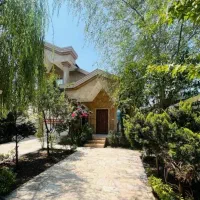 جنگل آوردیم تو ویلا/ سند تک برگ / ۳کنتور