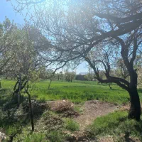 باغ-در-غرق-آباد