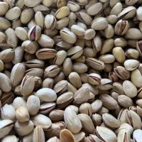 تامین محصولات اصیل خراسان(کشمش،پسته،زعفران)