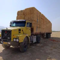 حمل بار با تریلی کفی وکمرشکن|خدمات حمل و نقل|اهواز, شهرک نفت|دیوار