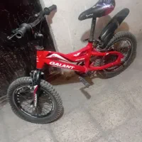 دوچرخه ۱۶ دو عدد