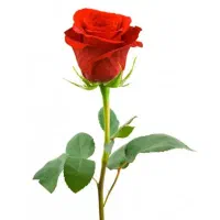 نیاز به راهنمایی دارم