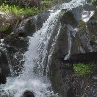 تور گروهی شاد هر هفته