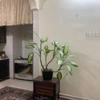 اجاره روزانه واحد مبله|اجارهٔ کوتاه‌مدت آپارتمان و سوئیت|قم, قم نو|دیوار