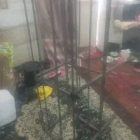 تخت بزرگ دو طبقه|تخت و سرویس خواب|زابل, |دیوار