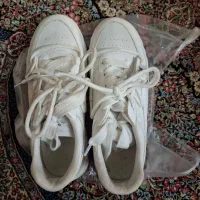 لباس،کفش|لباس|کرمان, |دیوار