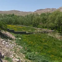 زمین مسکونی و باغی بر خیابان شقایق زیر قیمت|فروش زمین و ملک کلنگی|قیدار, |دیوار