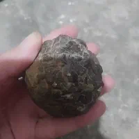 سنگ|کلکسیون اشیاء عتیقه|علیآباد کتول, |دیوار