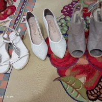 کالج صندل مجلسی|کیف، کفش، کمربند|قم, علی آباد|دیوار