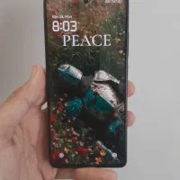 شیاومی 12 pro speed