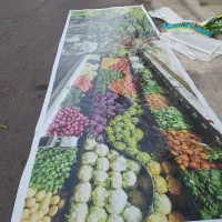 پوستر سبزی و میز سبزی