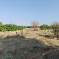دو نفر نیرو جهت کار در باغ