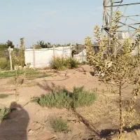 زمین سندتک برگ روبروی شهرک خانه|فروش زمین و ملک کلنگی|رباطکریم, الارد|دیوار