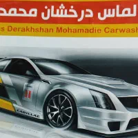 کارواش کار ماهر