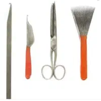 چاقو واره و کرکیت وقیچی فقط یک وششصد