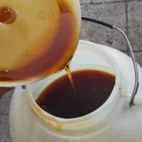 شیره انگور طبیعی ملکان