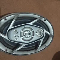 باند پایونر