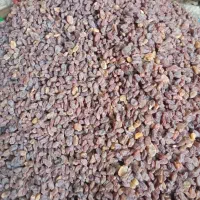 کشمش آفتابی اصل بوانات