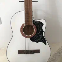 گیتار ایرانی