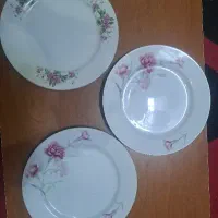 ظروف فقط ۵۰ تومن بلور چینی استیل گل سرخی