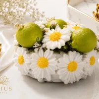 بابونه و لیمو