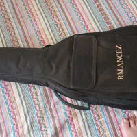 گیتار نو المانی