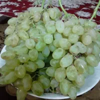 انگور عسگری