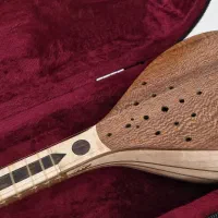 سه تار حرفه ای سرپنجه طاووسی خیلی خوشگل