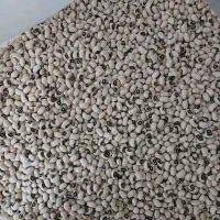 حبوبات ،کشمش پلویی، کره محلی (۳۰۰)|خوردنی و آشامیدنی|داراب, |دیوار