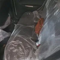 کوییک s استاندار ۸۵ گانه|خودرو سواری و وانت|خورموج, |دیوار