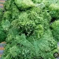 سبزی خورشتی ،وخوردنی|خوردنی و آشامیدنی|خرم‌آباد, |دیوار