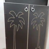 جا کفشی