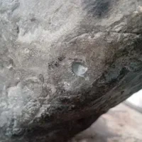 شهاب سنگ|کلکسیون اشیاء عتیقه|زرقان, |دیوار