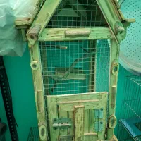 تعدادی قفس چوبی تله|لوازم جانبی حیوانات|رباط‌کریم, رباط‌کریم|دیوار