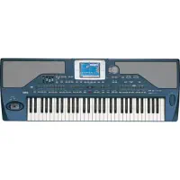 korg pa800 Elite ram 256