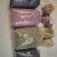 نبات گیاهی کاملا ارگانیک