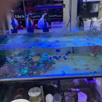 بلو تانک آبشور آب شور