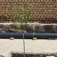 لایه استخر